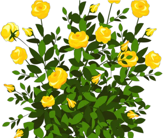  Bush Plan Png Rose Bush Clipart Flowery Bush With Yellow Rose Plant Png Rose Bush Png