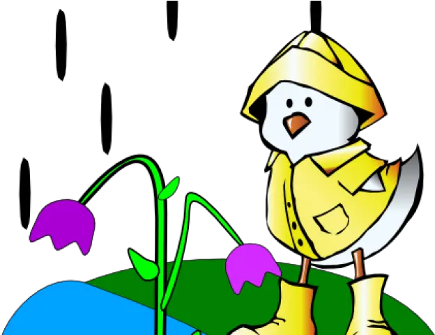  Chick Clipart Wet Get Well Card Cartoon Png Download Cartoon Duck In Raincoat Wet Png