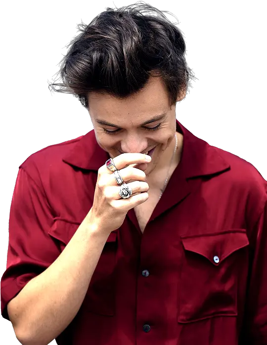  Download Report Abuse Harry Styles Wallpaper Iphone Png Harry Styles Rose Ring The Great Frog Harry Styles Png