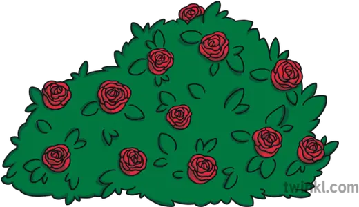  Beauty And The Beast Rosebush Ks1 Flower Flora Nature Garden Roses Png Beauty And The Beast Rose Png