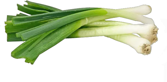  Spring Onions Baro Spring Onion Transparent Background Png Onion Png