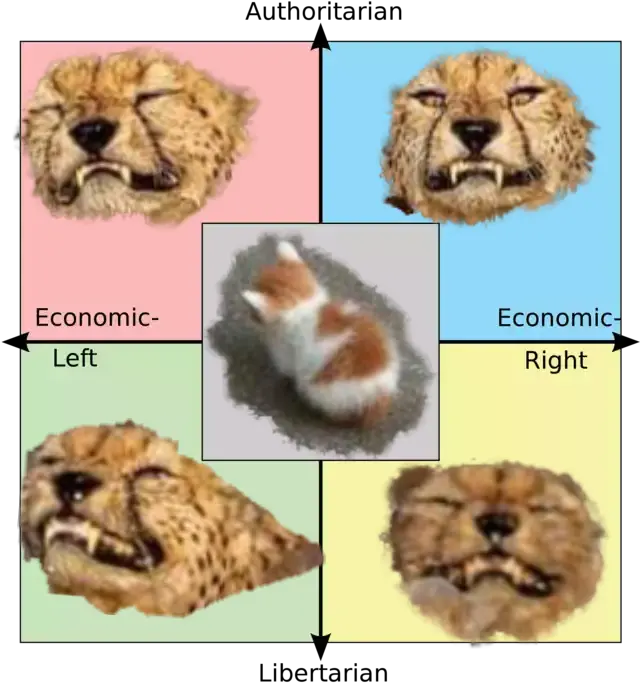  4 Swimming Cheetahs And No Talk Me Angry Cat Explain The Rage Against The Machine Political Compass Png Angry Cat Png