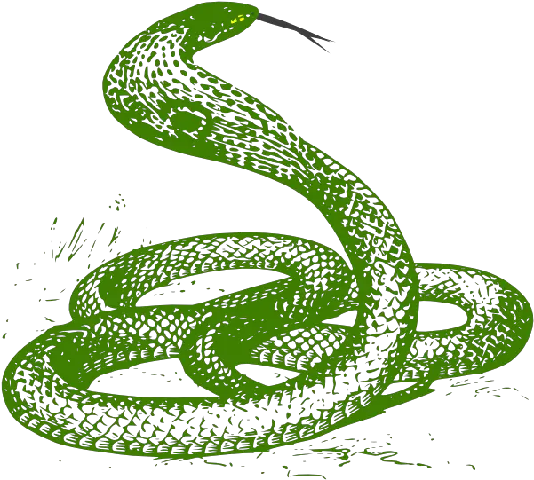  Download Hd How To Set Use Green Snake Clipart Transparent Snake Green Clipart Png Snake Clipart Png