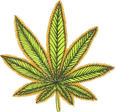  Weed Leaf Transparent Png Cannabis Leaves Black Weed Leaf Weed Logo Pot Leaf Transparent Background