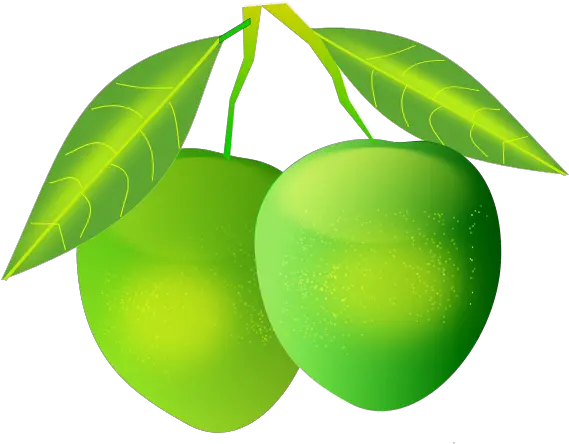  Mango Png Transparent Images All Green Mangoes Png Fruit Tree Png