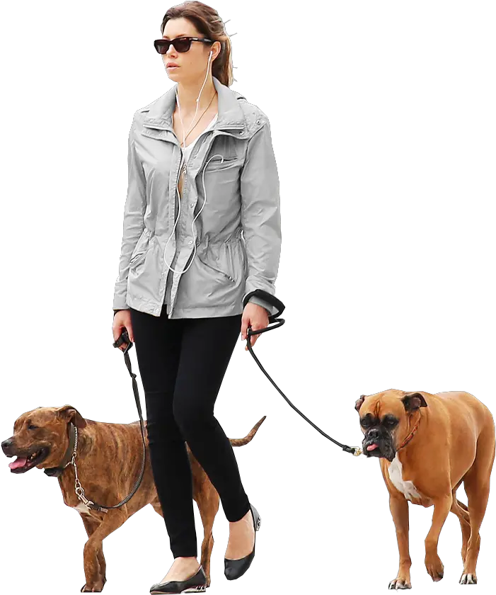  Woman Dogs Gray People Png Cutout Render Png People Walking Dog Pet Png