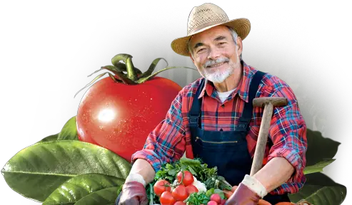  Farmer Png Image Vegetable Farmer Farmer Png