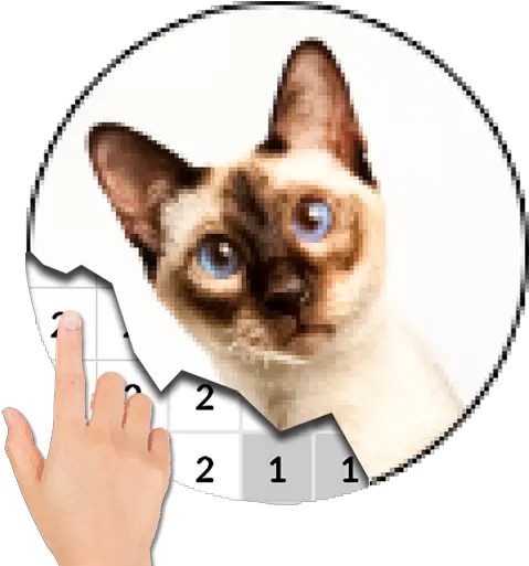  Cat Photography Color By Number Pixel Art Apk 70 Pikes Png Pixel Cat Icon