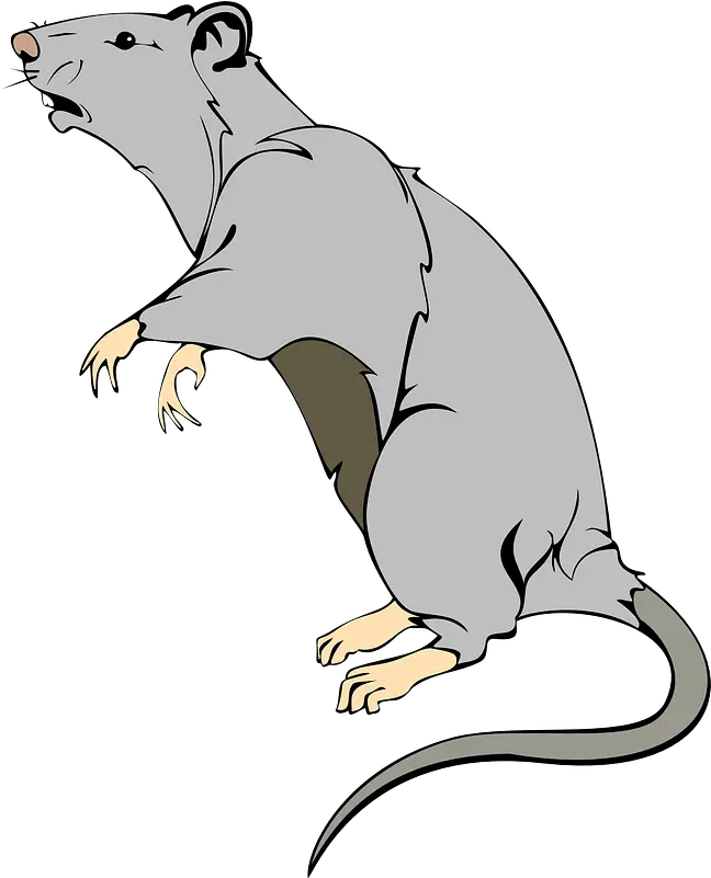  Rat Clipart Free Download Transparent Png Creazilla Transparent Rat Cartoon Rat Png