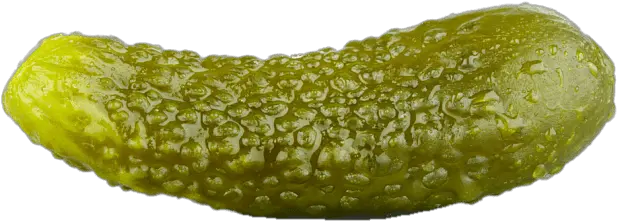  Single Pickle Transparent Png Transparent Pickle Pickle Transparent