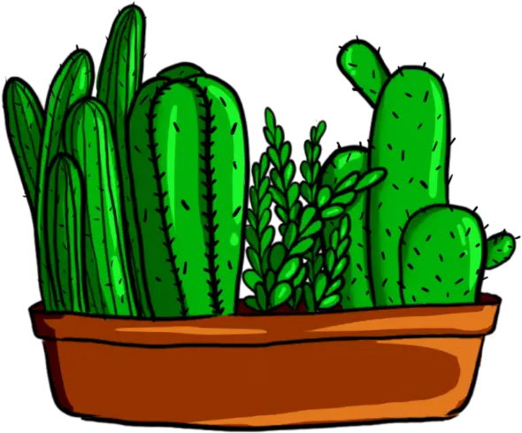  Green Cactus Plant Png And Psd For Png Clipart Succulents Png