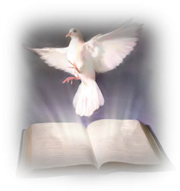  Download Bible Holy God Christianity In The Baptism Clipart Holy Spirit Transparent Background Dove Png Holy Bible Png