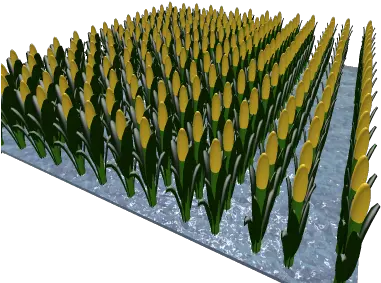  Corn Field Roblox Bullet Png Corn Field Png