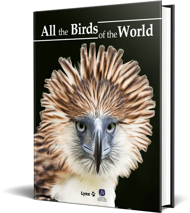  Lynx Edicions U2013 Publishers Of The Highly Acclaimed Handbook Change You Want To See Png Birds Transparent