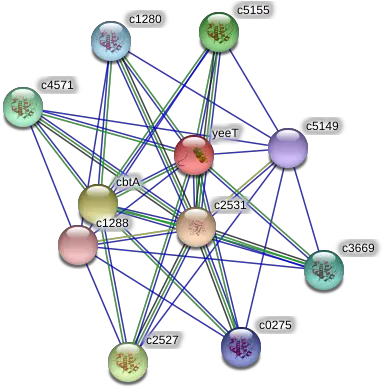  Yeet Protein Escherichia Coli Cft073 String Interaction Circle Png Yeet Png