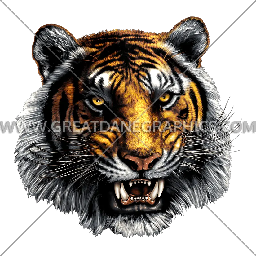  Tiger Mascot Head Production Ready Artwork For T Shirt Chatham Central High School Png Tiger Head Png