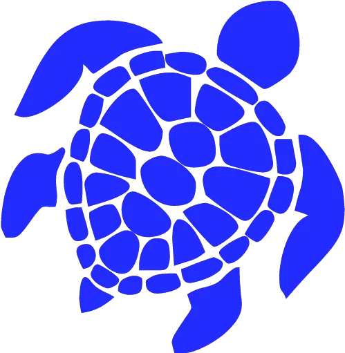  Turtle Icons Turtle Perler Bead Patterns Png Turtle Transparent