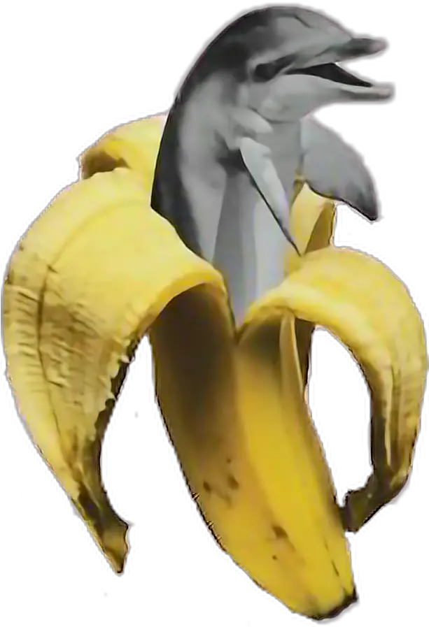  Download Hd Banana Dolphin Vaporwave Freetoedit Aesthetic Aesthetic Banana Png Banana Transparent