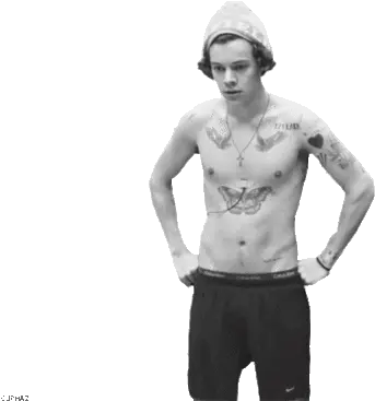  Harry Harry Styles Fan Art 37911180 Fanpop One Direction Transparent Gif Png Harry Icon