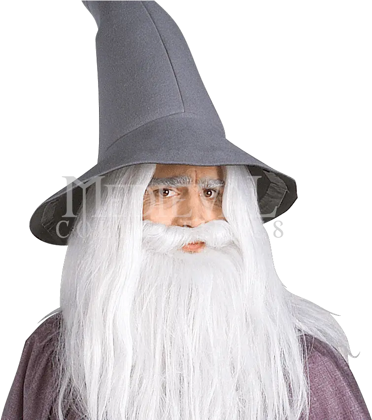  Gandalf Lord Of The Rings Gandalf Png Witch Hat Transparent Background