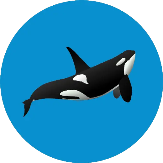  Account First Time User Free The Ocean Killer Whale Png Dolphin Icon