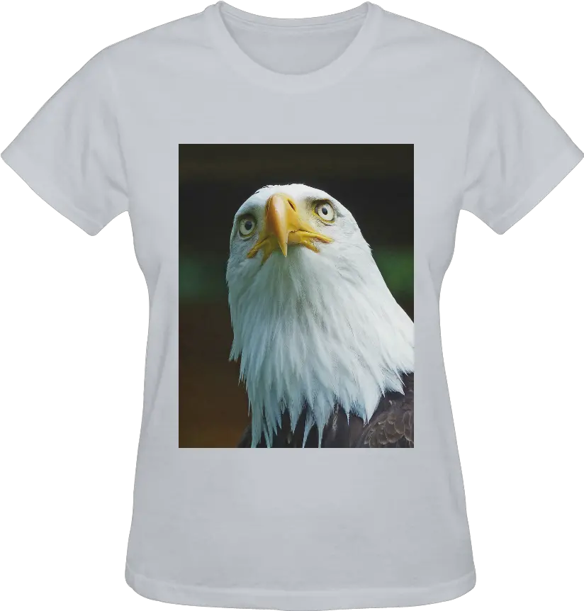  Download American Bald Eagle Head 001 14 Sunny Womenu0027s T Bald Eagle Png Bald Head Png