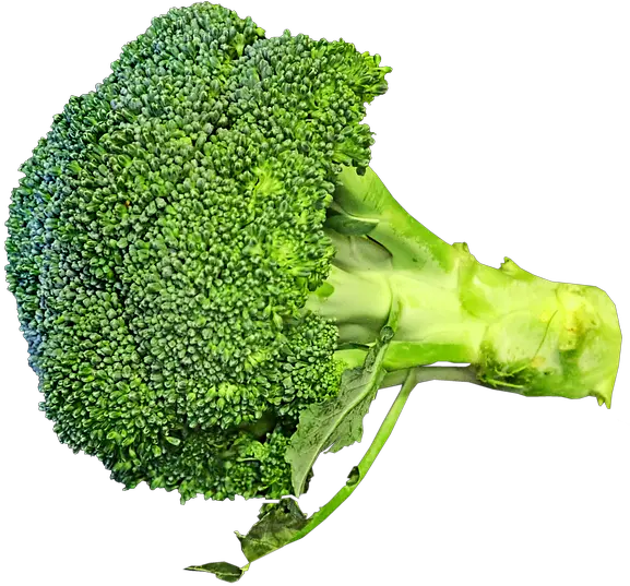  Free Photo Vegetable Nutrition Broccoli Healthy Cooking Food Superfood Png Broccoli Transparent Background