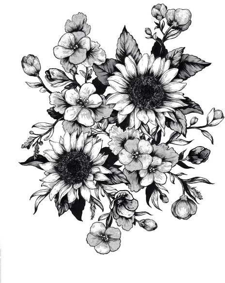  Download Tattoo Sketch Flower Drawing Sunflower Png Free Black And White Flower Tattoo Designs Sunflower Clipart Png