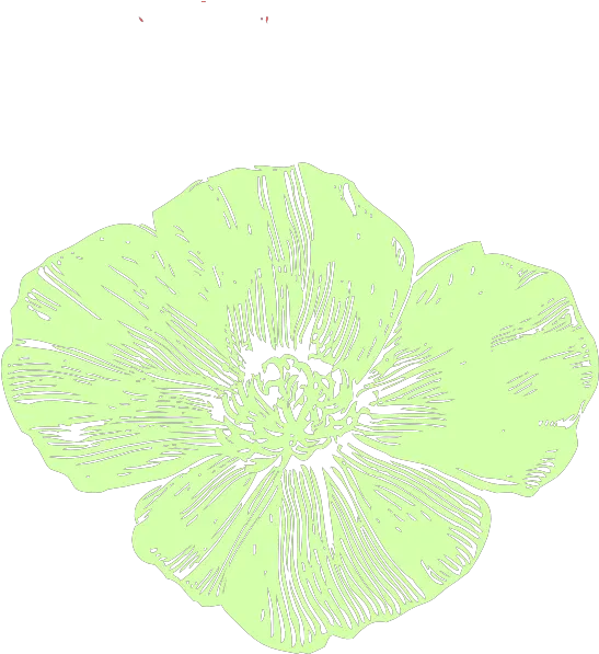  Celery Poppy Png Clip Arts For Web Clip Arts Free Png California Poppy Celery Png