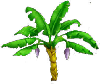  Banana Tree Banaana Tree Hd Png Banana Tree Png