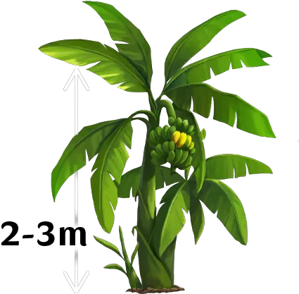  Yello Banana Tree Vector Png Banana Tree Png