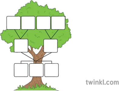  Family Tree Template Illustration Twinkl Family Tree Template Spanish Png Family Tree Png