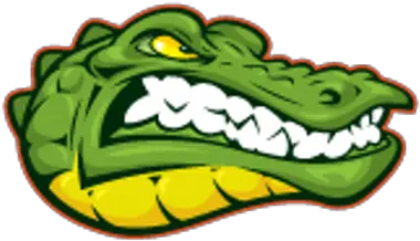  Gator Logo Transparent Vector Clipart East Carolina Aquatics Png Gator Logo Png