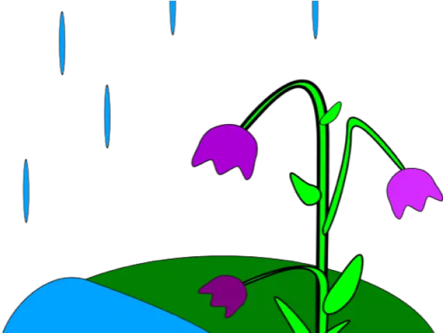  Animated Spring Clipart Raining Animation Png Download Rain Is Formed For Kids Spring Clipart Png