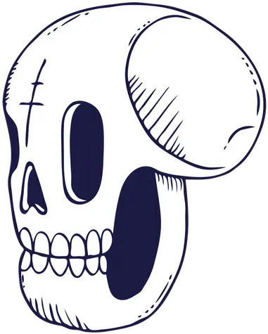  Transparent Png Svg Vector File Skull Illustration Skull Drawing Png