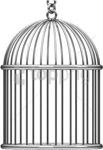  Bird In Cage Png 1 Image Transparent Background Bird Cage Clipart Bird Cage Png