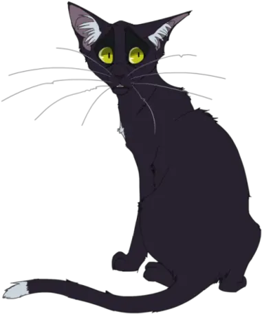  Halfheart Warrior Cats Roleplay Wiki Fandom Warrior Cats Designs Ravenpaw Png Half Heart Png