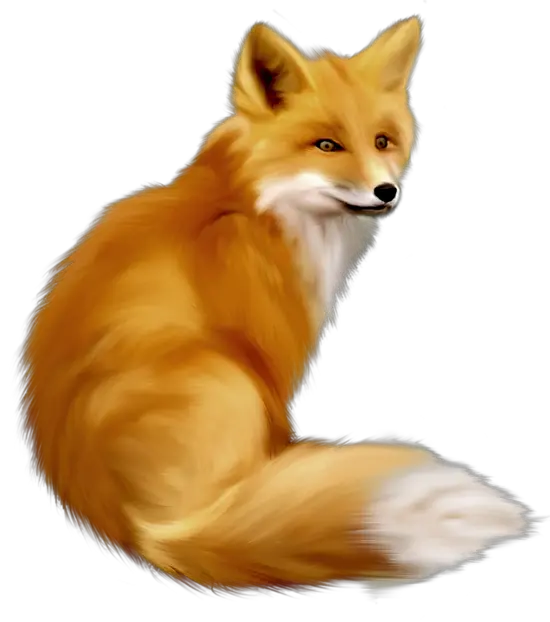  Gallery Free Clipart Animals Realistic Fox Clipart Png Fox Clipart Png