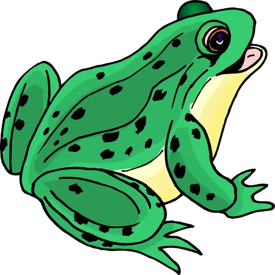  Frog Png And Vectors For Free Download Dlpngcom Clip Art Picture Of Frog Pepe The Frog Transparent