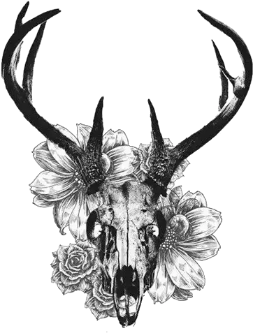  Download And Tattoo Skull Deer White Tailed Creative Black Tattoo Deer Skull Drawings Png Deer Skull Png