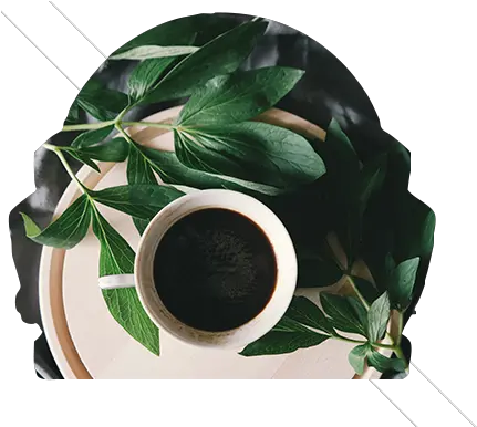  Tea Leaf Reading Chicago Psychic Illinois Future Coffee Png Tea Leaf Png