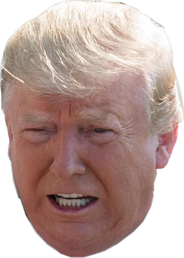  Donald Trump Donaldtrump President Rod Blagojevic Png Donald Trump Head Transparent