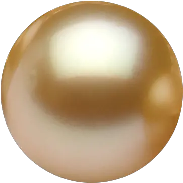  Download White Pearl Png Gold Pearl Transparent Background Pearl Transparent Background