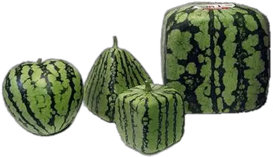  Watermelons Transparent Png Images Square Watermelon Transparent Background Watermelon Transparent Background