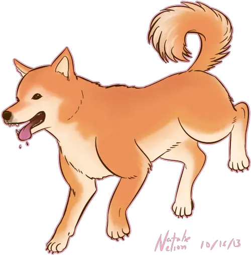  Shiba Inu Draw A Shiba Inu Png Shiba Inu Png