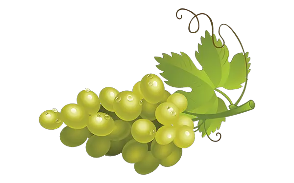  Download Green Grapes Png High Quality Image Seedless Seedless Fruit Grapes Png