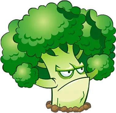  Download Cartoon Broccoli Png Plants Vs Zombies Broccoli Free Broccoli Cartoon Broccoli Transparent