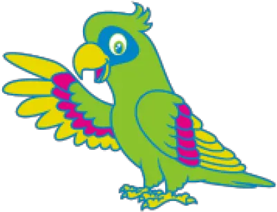  Parrot Png And Vectors For Free Download Dlpngcom Budgie Parrot Png