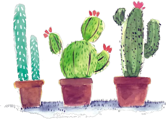  Watercolor Cactus In Pots Png