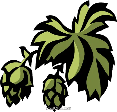  Hops Royalty Free Vector Clip Art Illustration Vc032069 Hops Clipart Png Hops Png